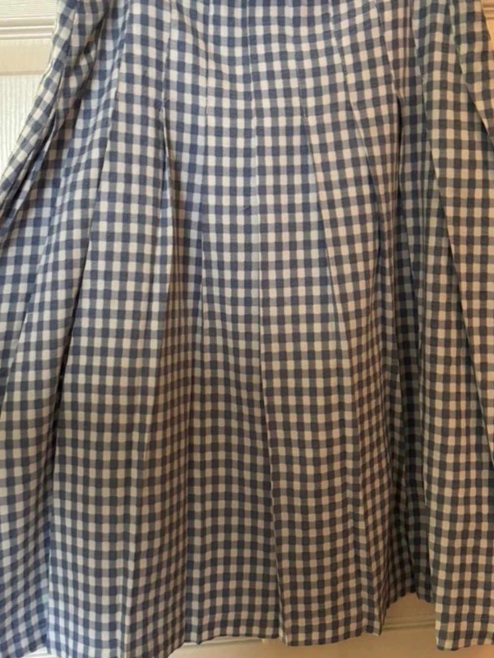 Pleated blue gingham skirt